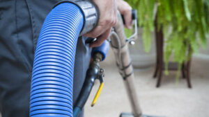 Read more about the article Professional Carpet Cleaning in Ventura, California