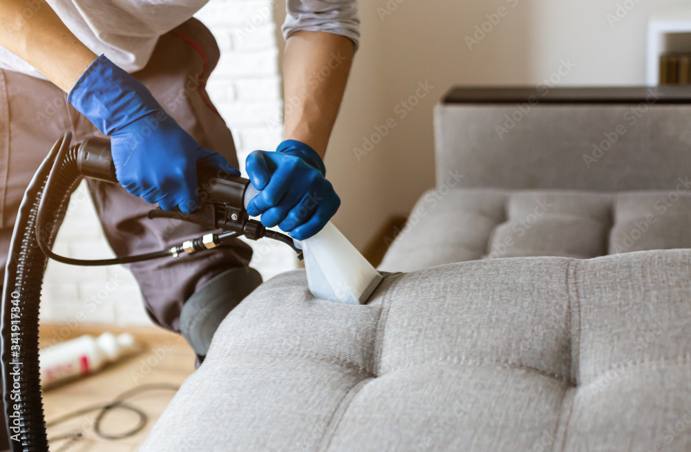 Professional Furniture Cleaning
